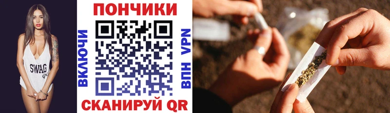 Купить закладки  Заречный  Каннабис SATIVA & INDICA 